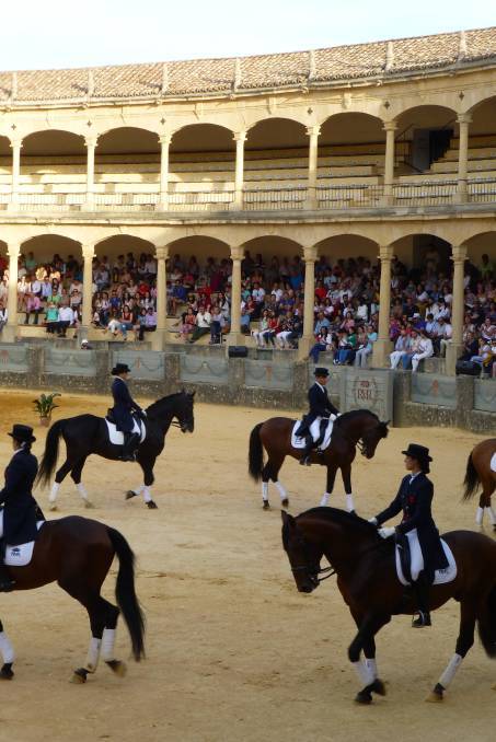 In the bullring with the Andalusian dancing horses. In the bullring with the Andalusian dancing horses.