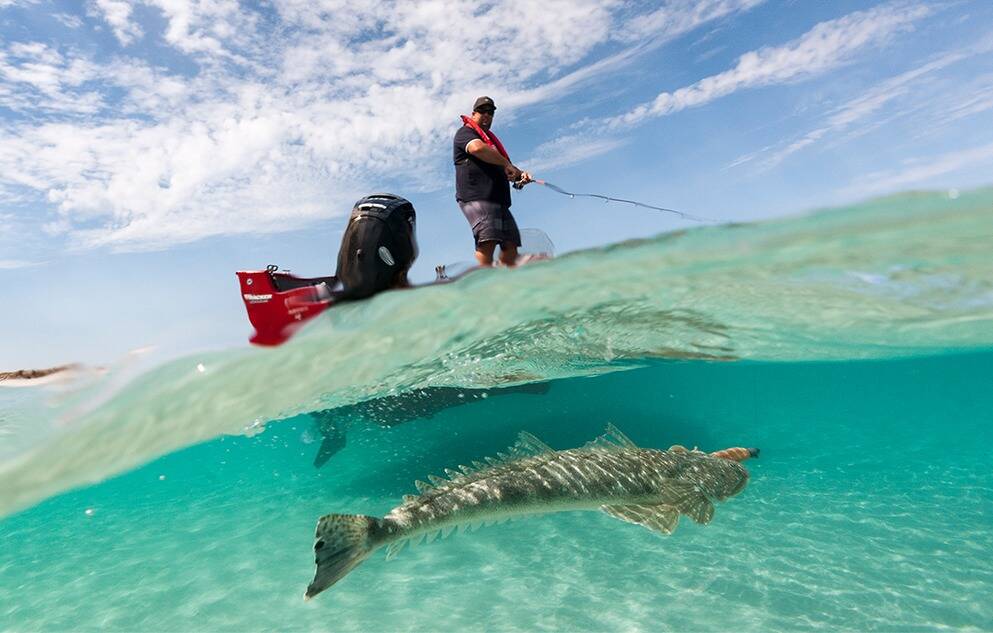 Hervey Bay fishing hits the spot. Hervey Bay fishing hits the spot.