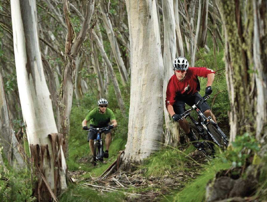 On your bike. On your bike.