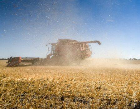 Farmers urged to take care during harvest as temperature soars