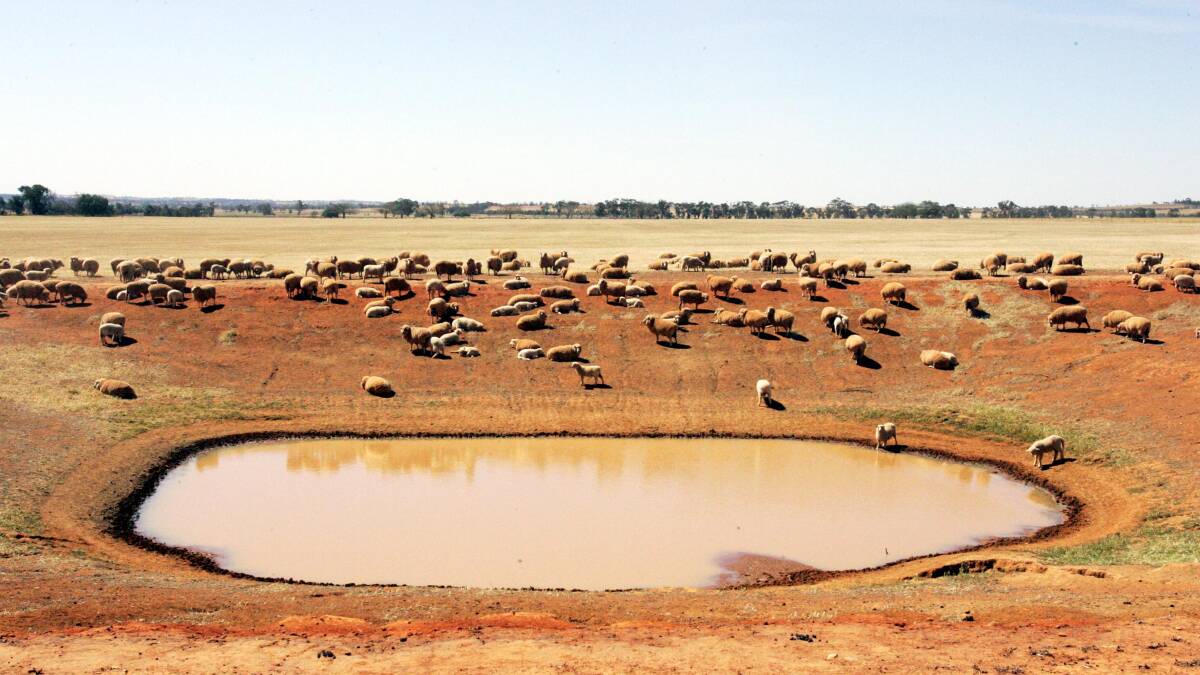 Riverina councils have made submissions to the Committee on Investment, Industry and Regional Developments inquiry into support for drought affected communities in NSW.