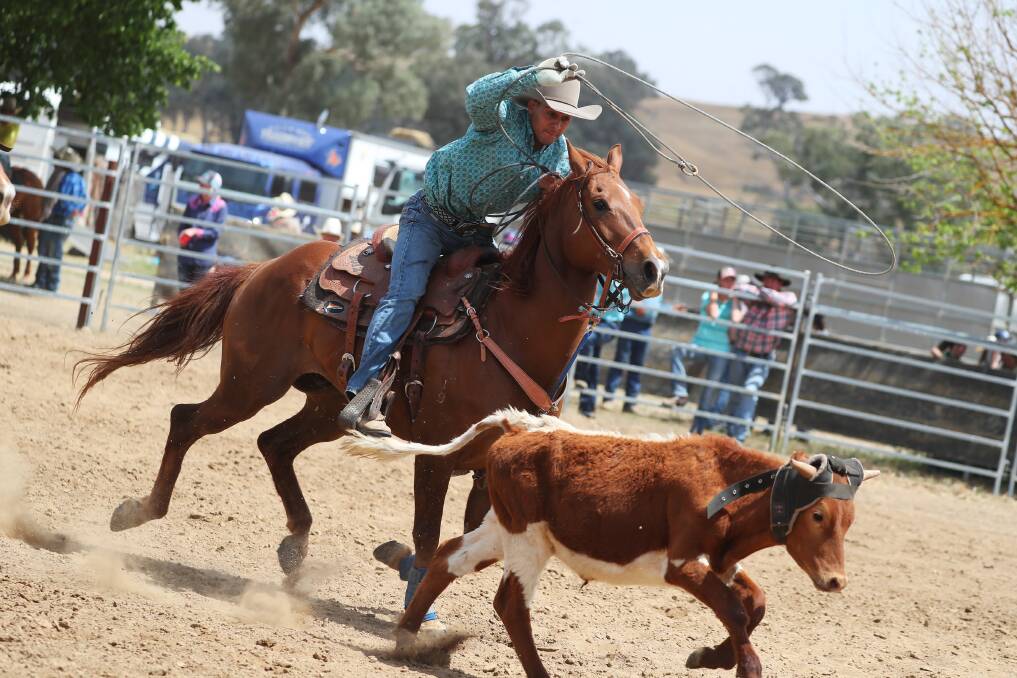 IN ACTION: Brian Bey rushes after a calf in the roping event. Picture: Emma Hillier