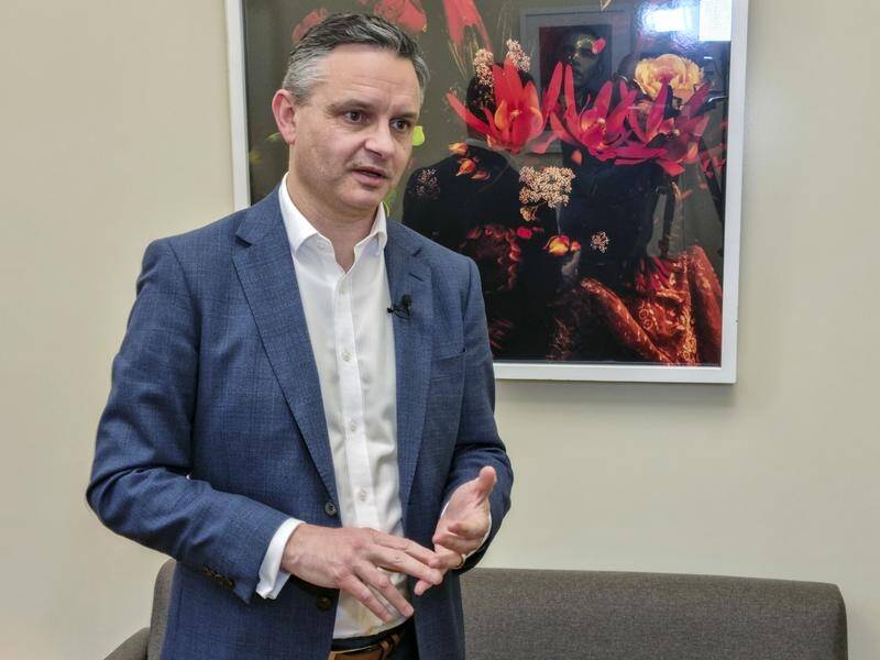 James Shaw says the COVID-19 pandemic has accelerated the move to cleaner energy in some countries.