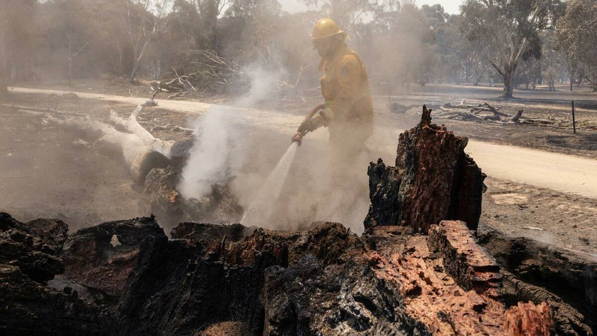 A bushfire near Dimboola in country Victoria burnt 70,000 hectares in just 24 hours. (Diego Fedele/AAP PHOTOS) A bushfire near Dimboola in country Victoria burnt 70,000 hectares in just 24 hours. (Diego Fedele/AAP PHOTOS)