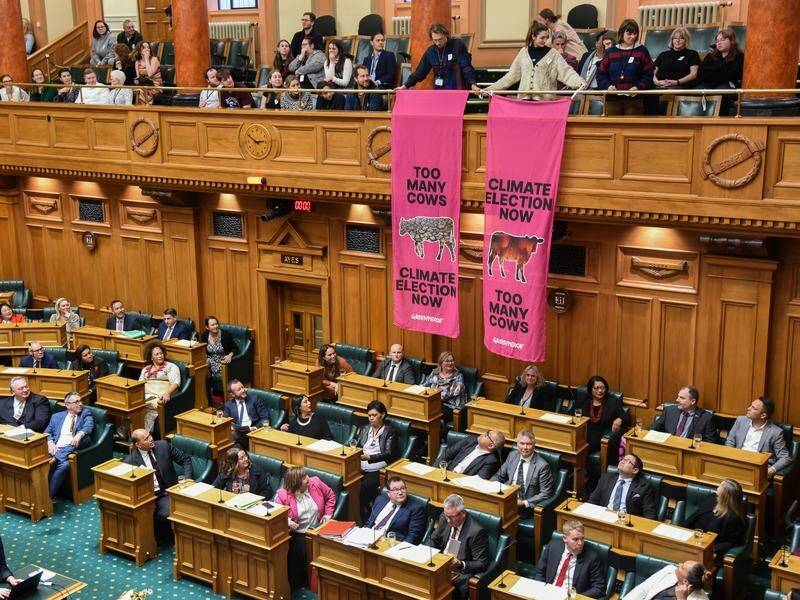 Greenpeace protesters have interrupted the New Zealand parliament's final Question Time for 2023. (Ben McKay/AAP PHOTOS)