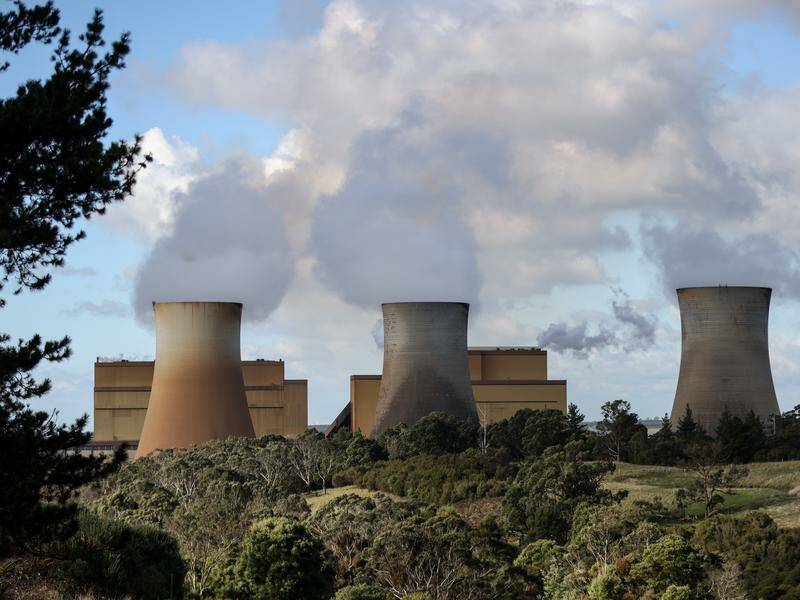 Power companies have been urged to rethink the "carbon neutral" claims they make for their products. Photo: Diego Fedele/AAP PHOTOS