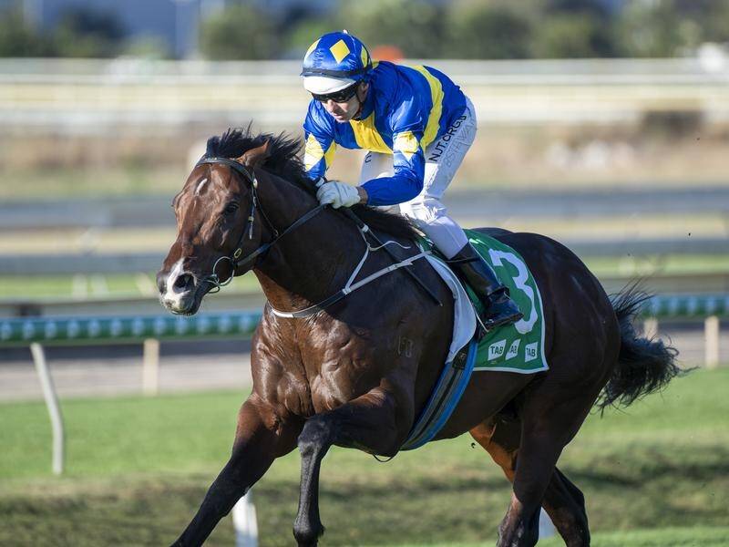Dawn Passage will be out to showcase his autumn carnival credentials when he lines up in The Gong.