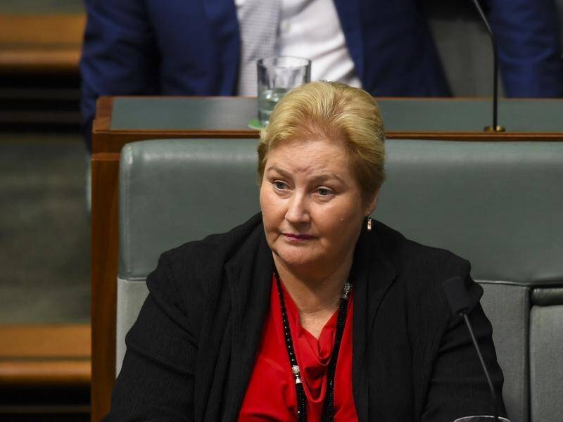 The PM denies there's bullying among federal Liberals after MP Ann Sudmalis said she would resign.