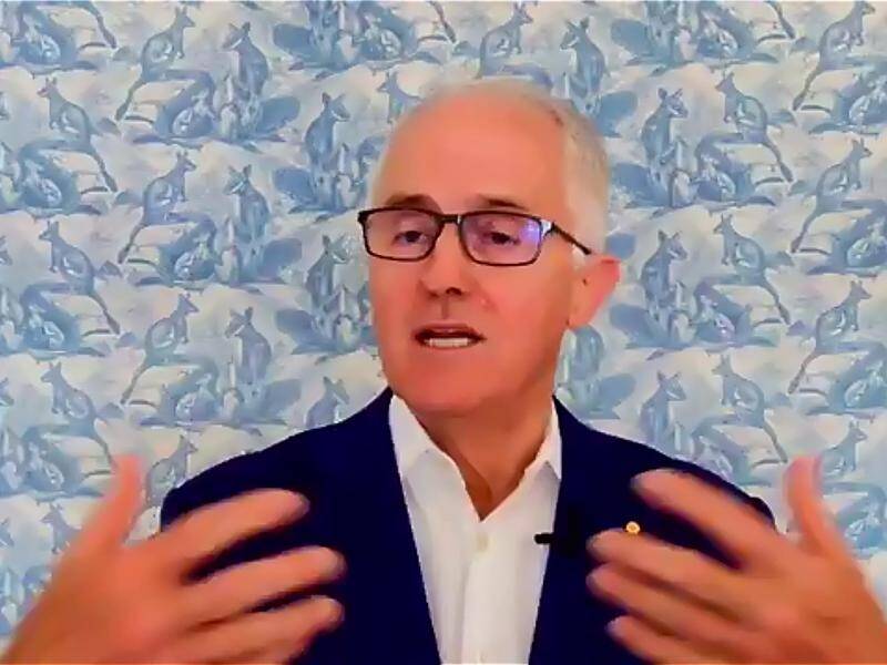 Former prime minister Malcolm Turnbull has labelled carbon capture and storage technology a scam.