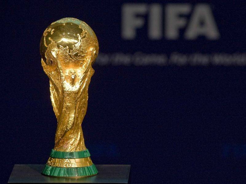 The resistance to FIFA's proposal of a biennial World Cup has been almost universal.