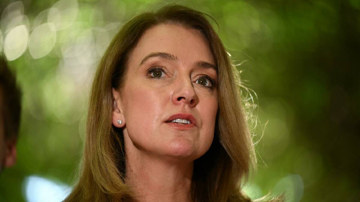 A deal struck with opposition leader Kellie Sloane staves off sharp premium rises for businesses. (Dan Himbrechts/AAP PHOTOS) A deal struck with opposition leader Kellie Sloane staves off sharp premium rises for businesses. (Dan Himbrechts/AAP PHOTOS)