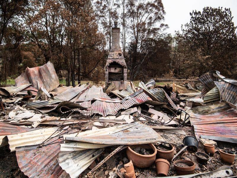 Charities are having to sort out fake claims for bushfire relief funds, generated by cyber-bots.