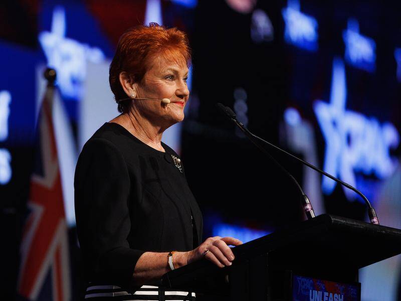 One Nation leader Pauline Hanson has shared the spotlight with fellow conservative leaders. Photo: Russell Freeman/AAP PHOTOS